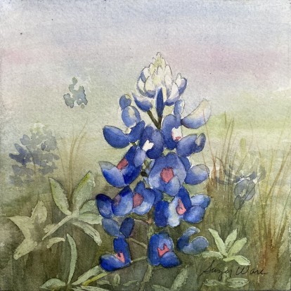 Bluebonnet
