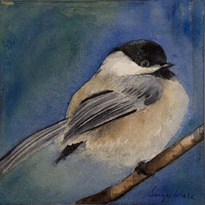 Chickadee
