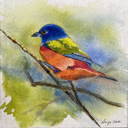 Painted Bunting