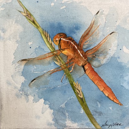 Dragonfly